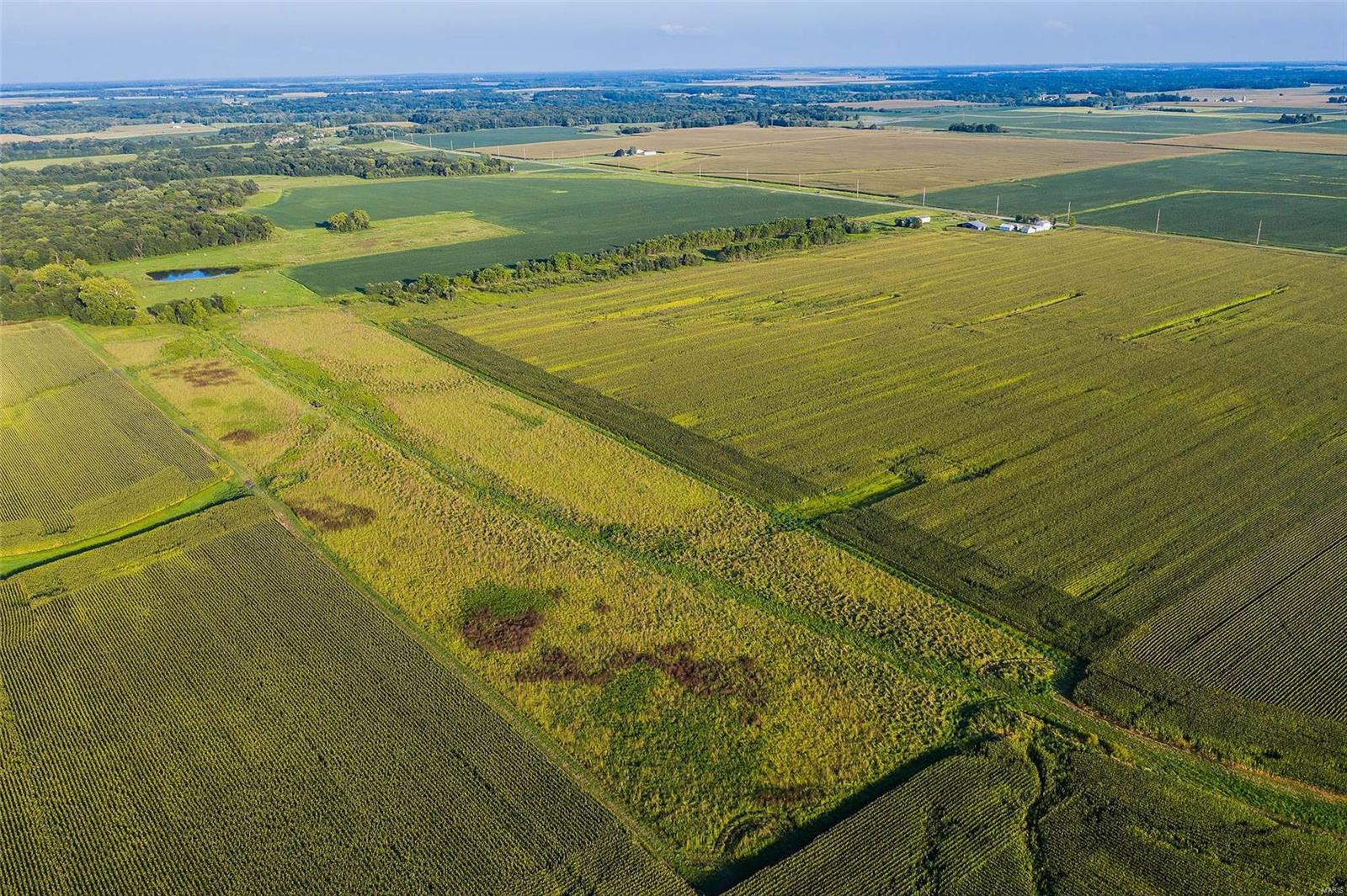 Rural Montgomery County - Farm