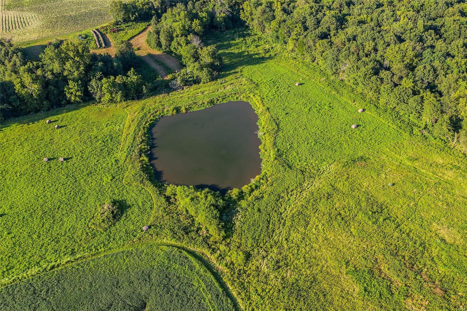 Rural Montgomery County - Farm