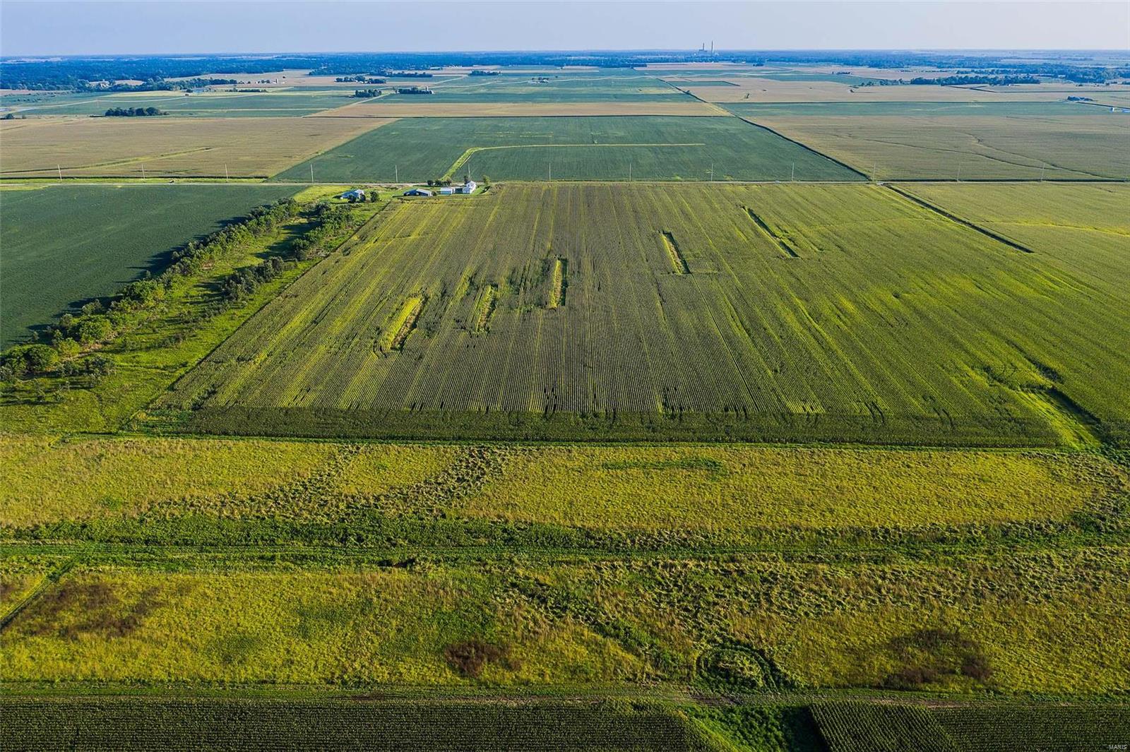 Rural Montgomery County - Farm