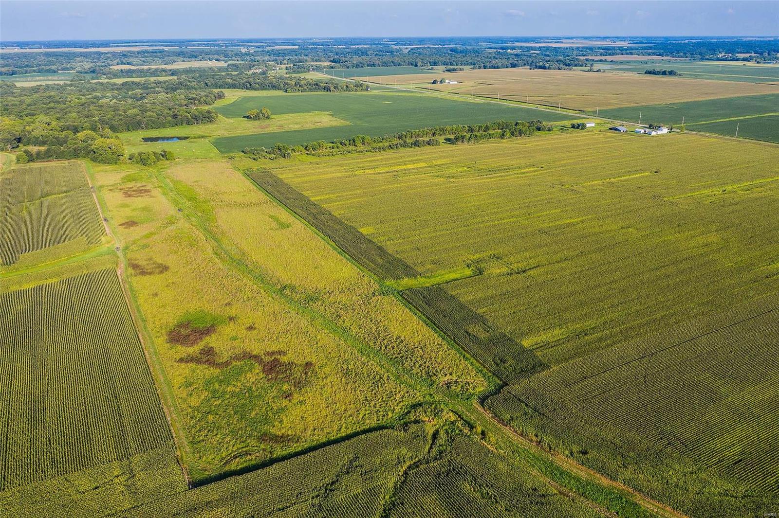 Rural Montgomery County - Farm