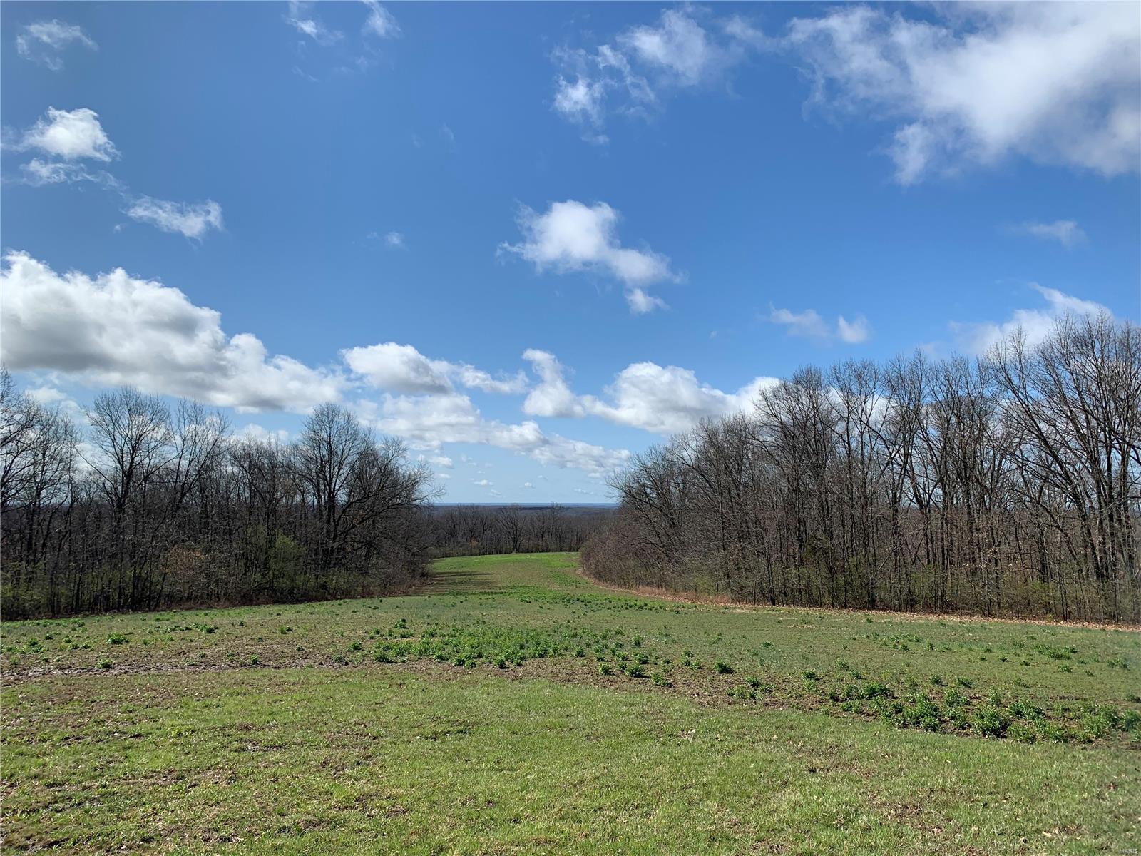 Set in the Rolling Hills of Elsberry on Hwy JJ lies this 159 Acre Farm. This Ridgetop property features 136 acres wooded timber, 23 aces of scattered open pastures, 2-acre lake, & 1-acre pond. Abundance of Wildlife Habitat for Deer & Turkey with cascading draws down to Dry Water Branch.  This land holding opportunity is a one-of-a-kind property for weekend recreation or permanent residency. Less than 45 Minutes from the St. Louis Metro Area.