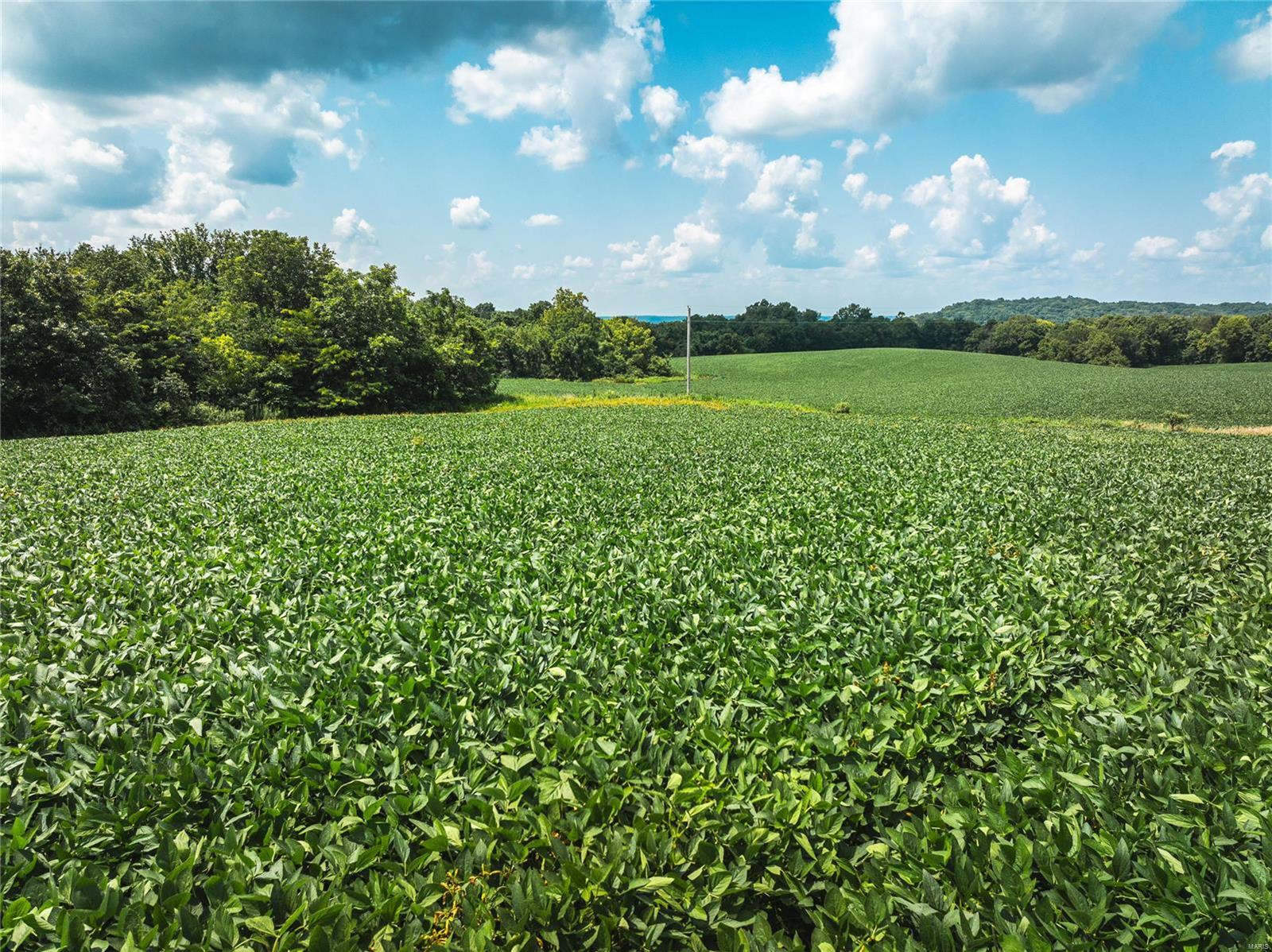 Not in a Subdivision - Farm