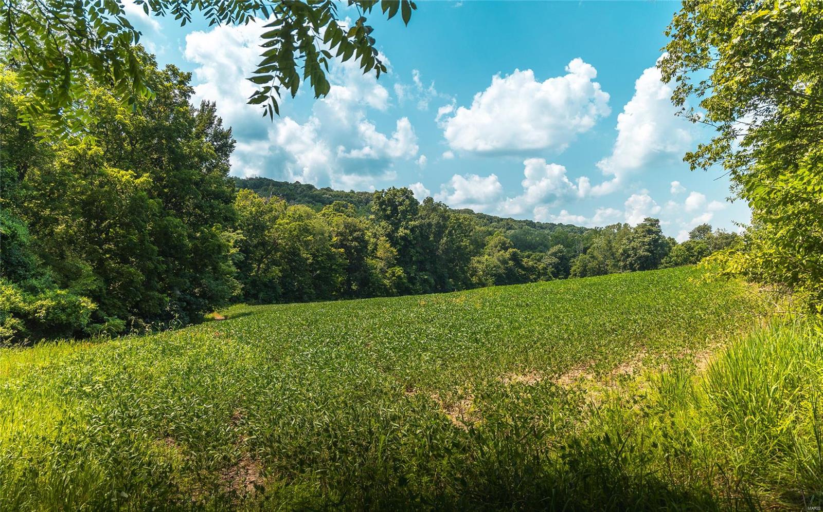 Not in a Subdivision - Farm