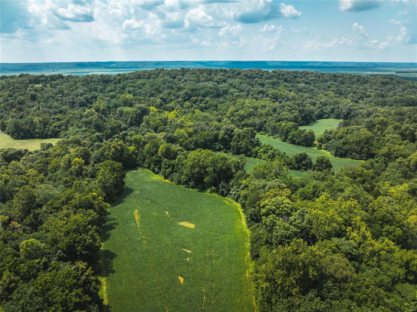Not in a Subdivision - Farm