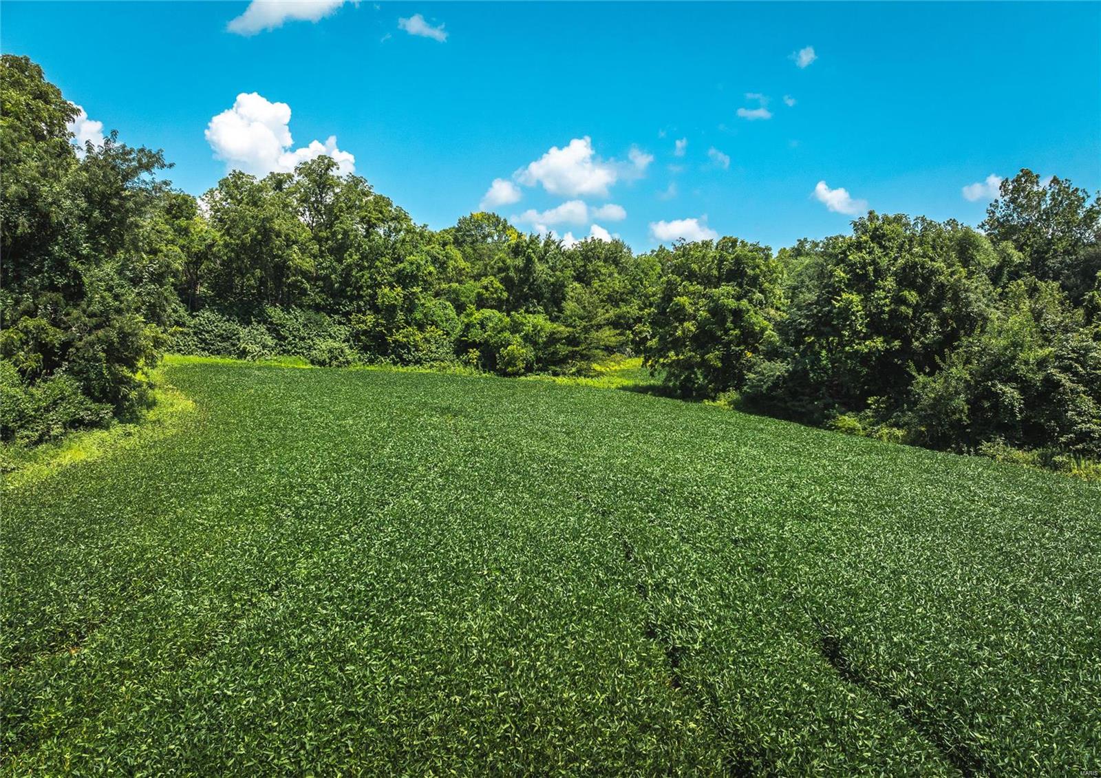 Not in a Subdivision - Farm
