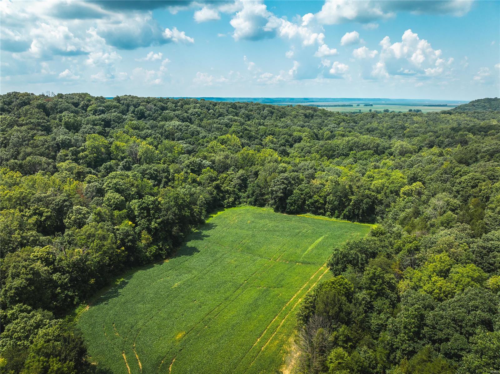 Not in a Subdivision - Farm