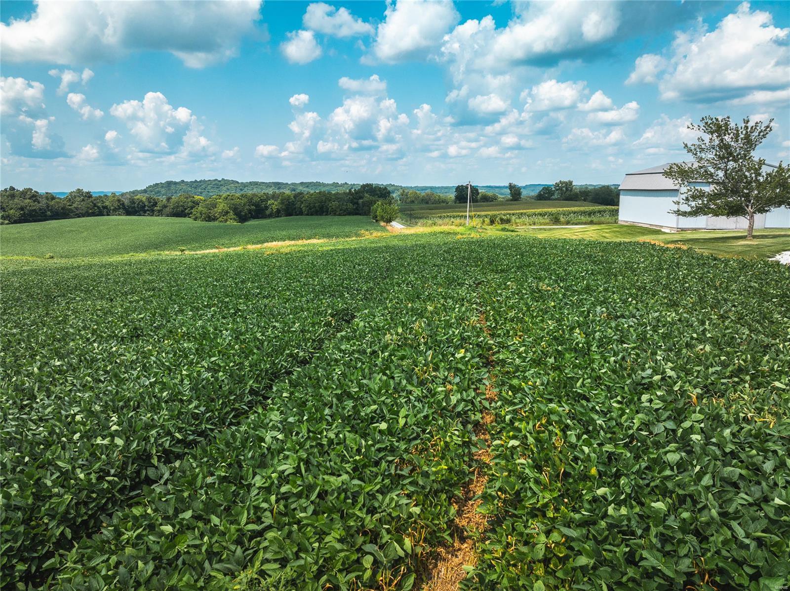 Not in a Subdivision - Farm