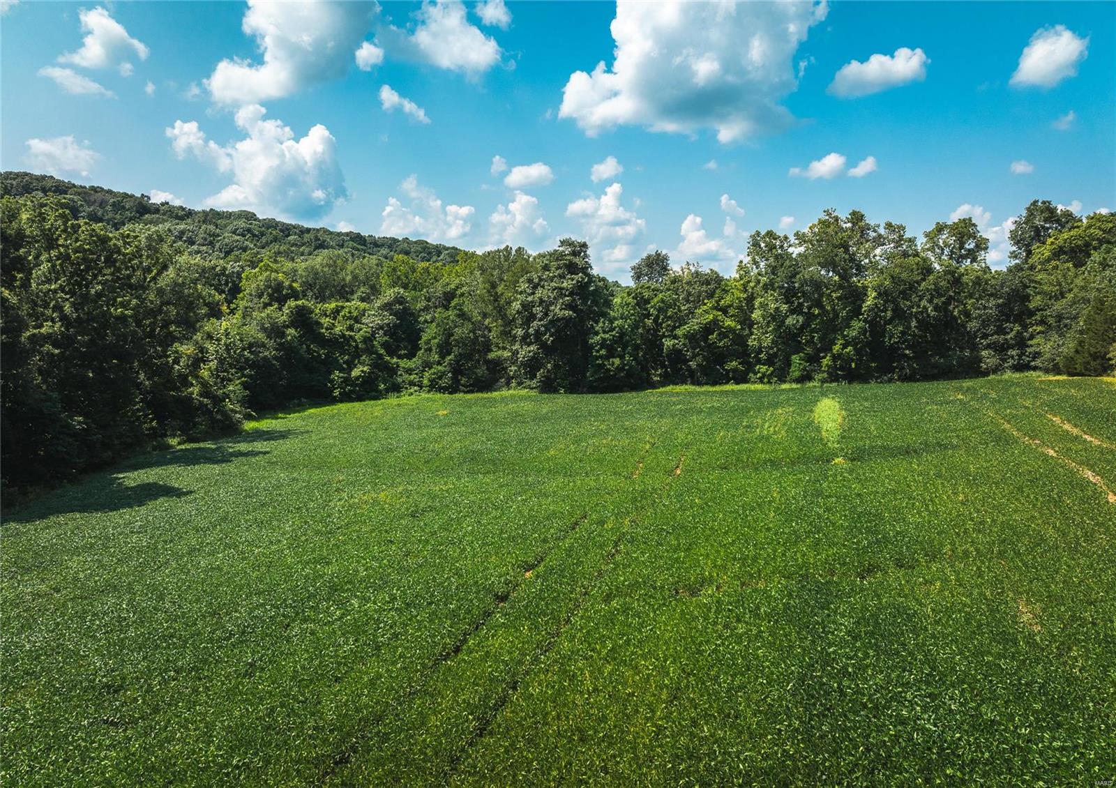 Not in a Subdivision - Farm