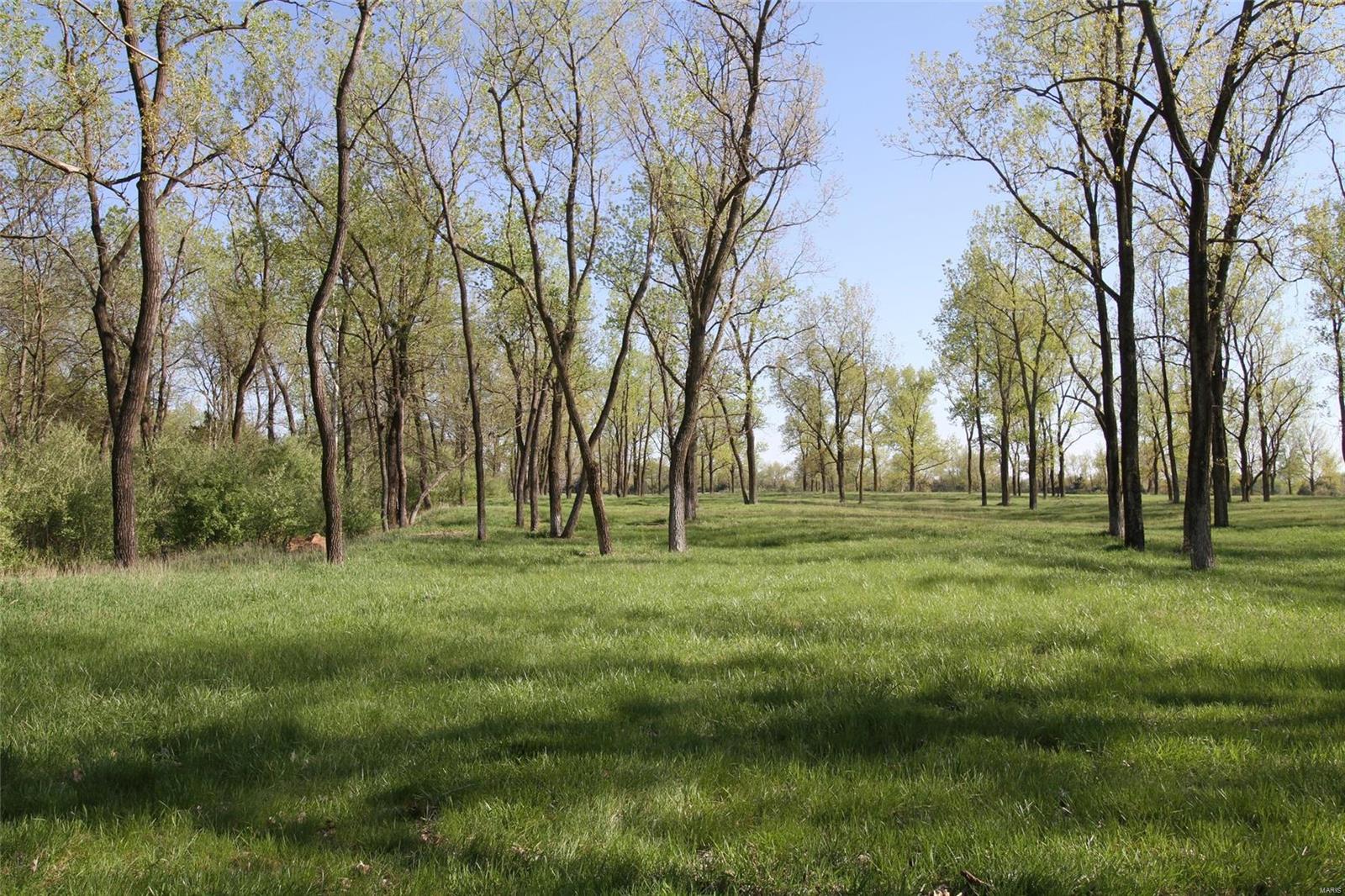 NOT IN A SUBDIVISION - Farm