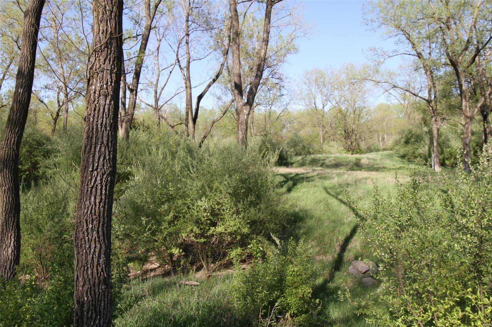 NOT IN A SUBDIVISION - Farm