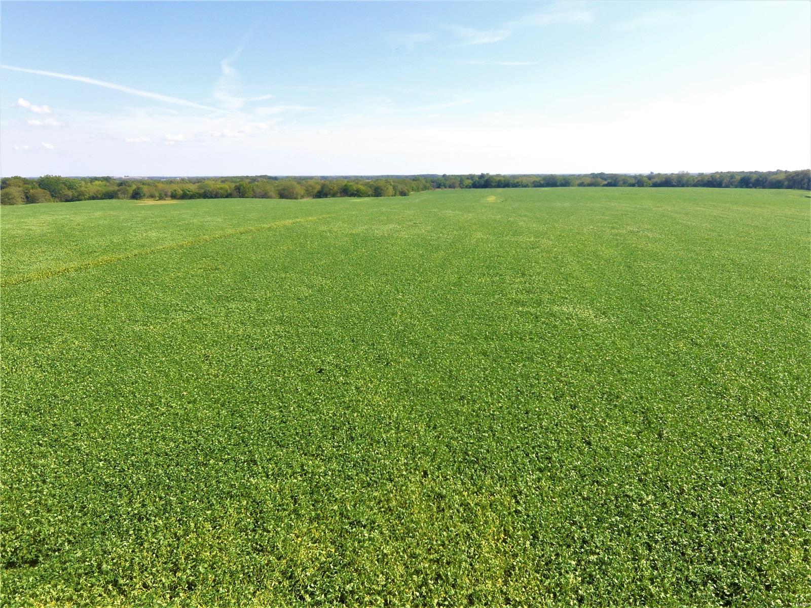 N/A - Farm