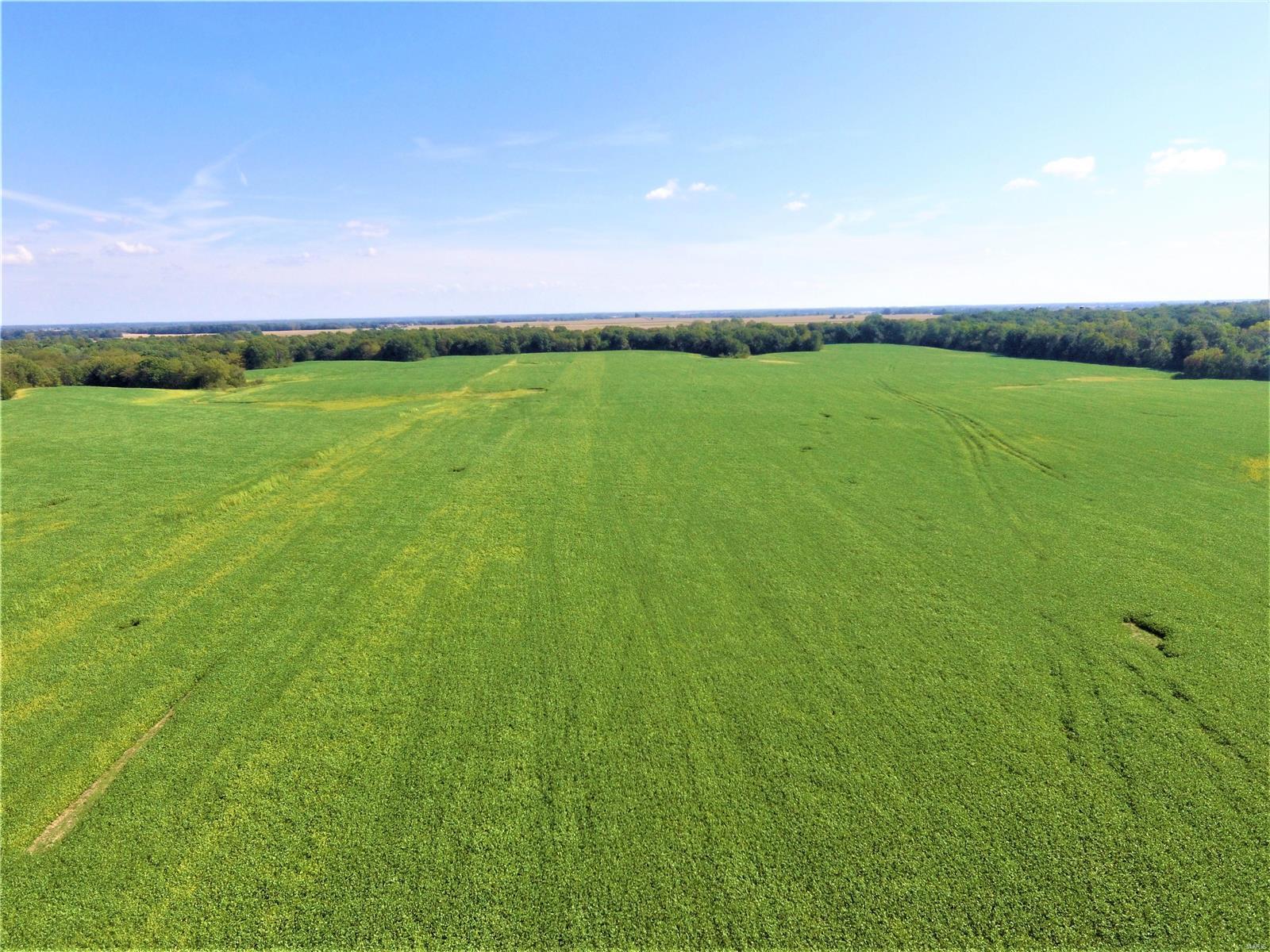 N/A - Farm
