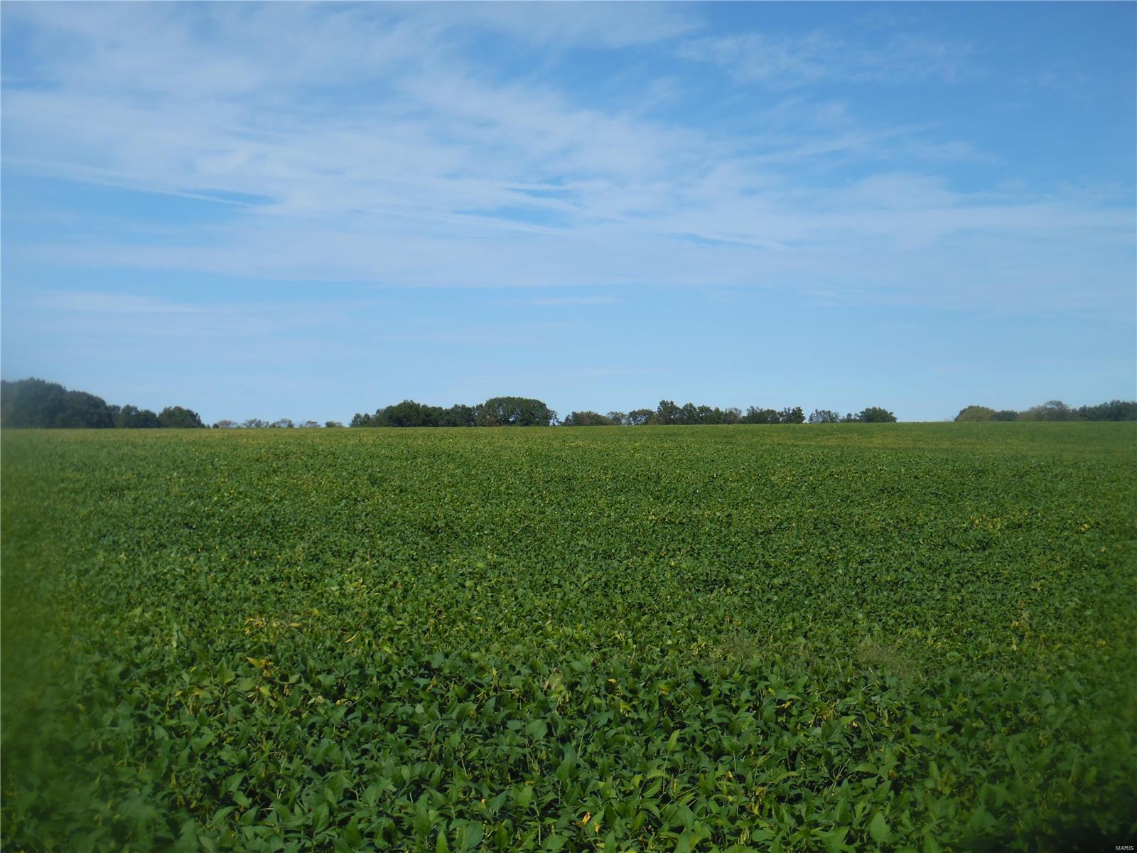 N/A - Farm