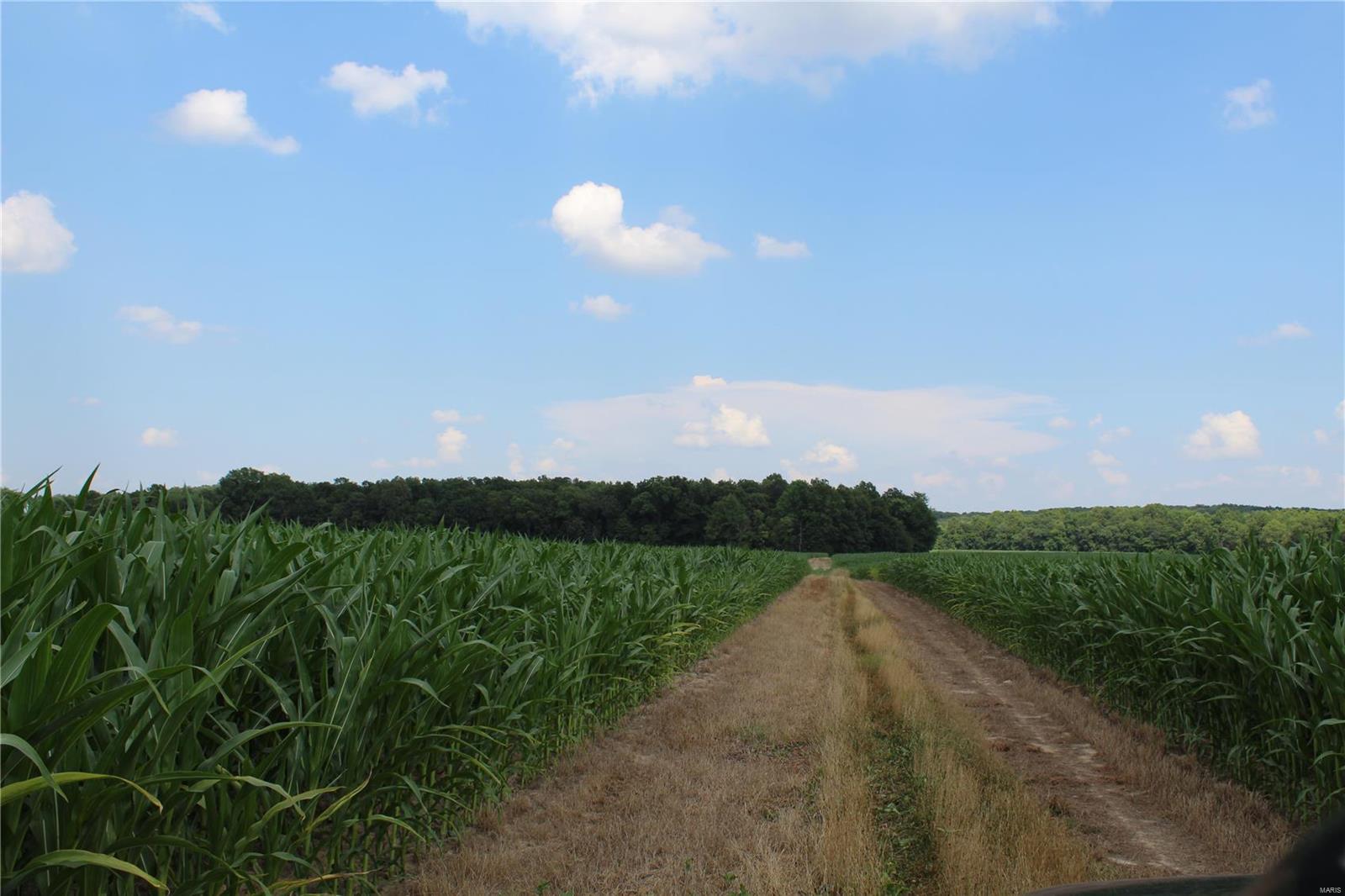 Not in Subdivision - Farm