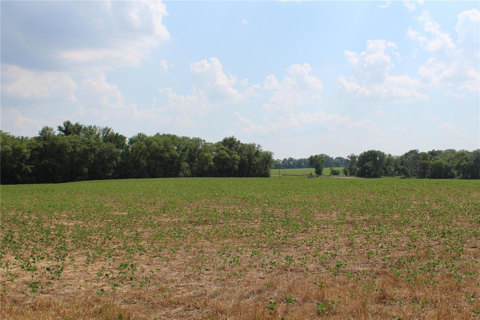Not in Subdivision - Farm