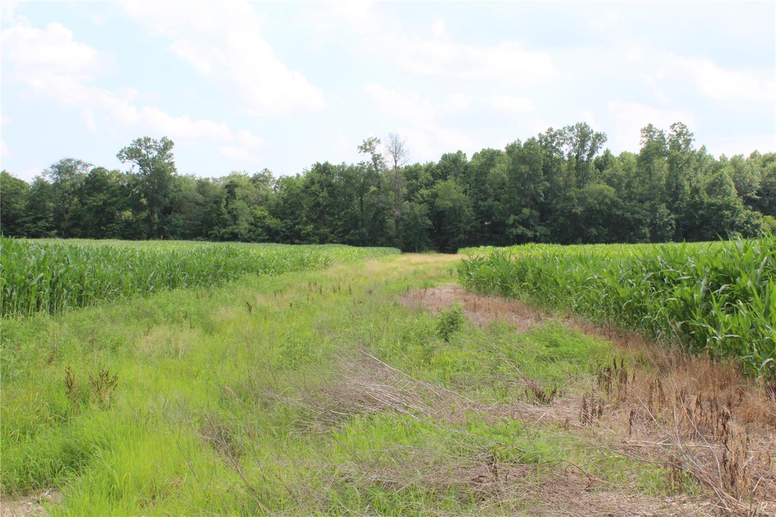 Not in Subdivision - Farm