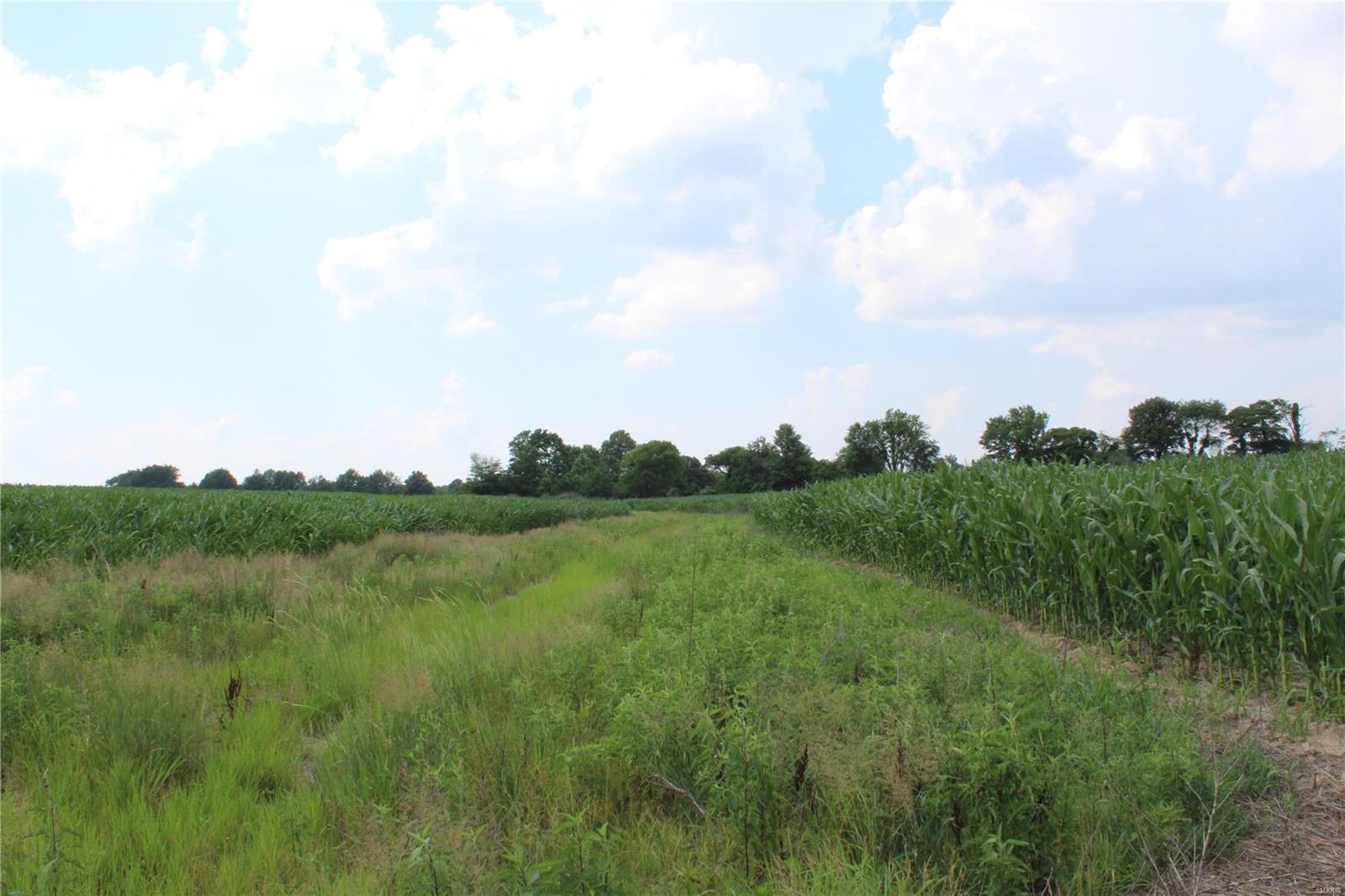 Not in Subdivision - Farm