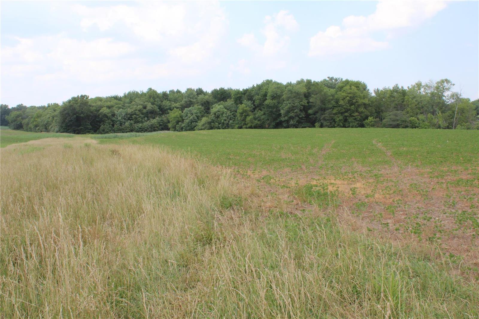 Not in Subdivision - Farm