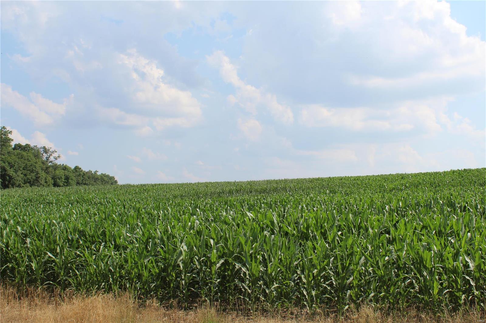 Not in Subdivision - Farm