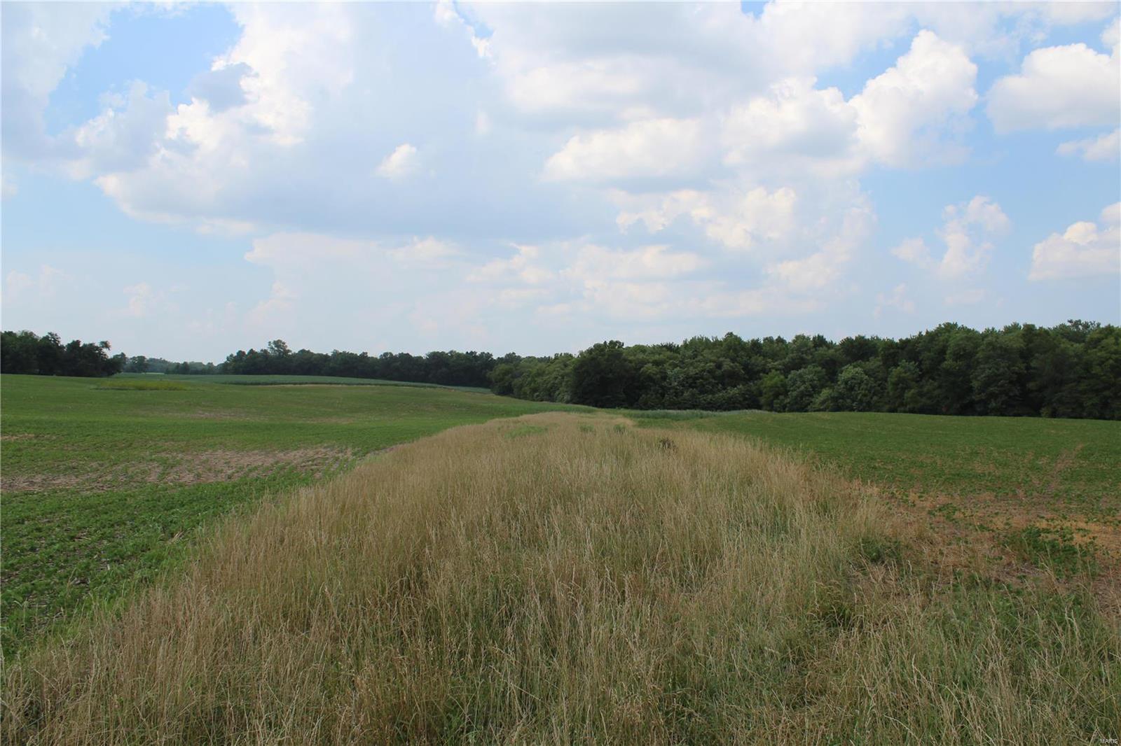 Not in Subdivision - Farm