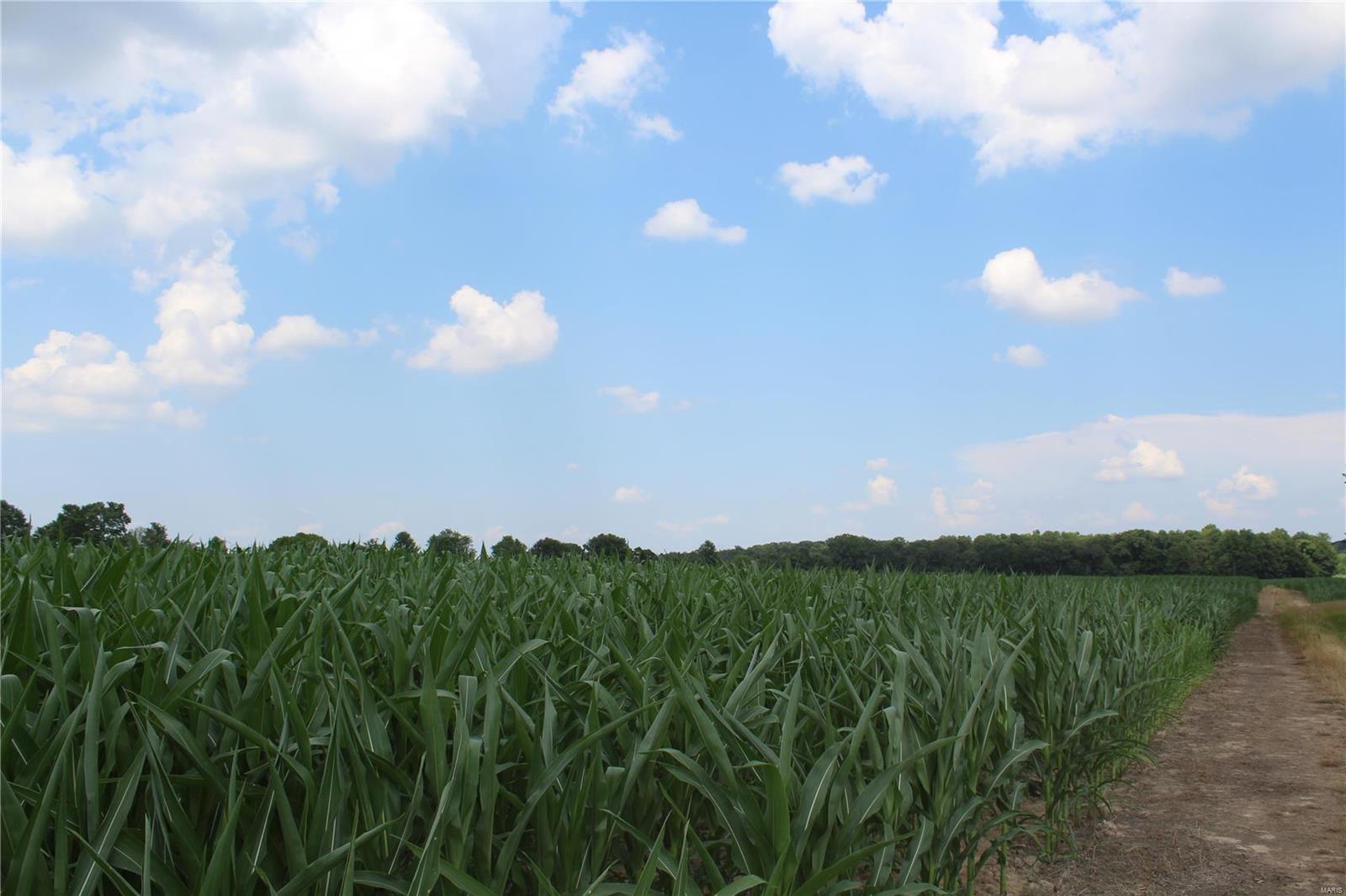 Not in Subdivision - Farm