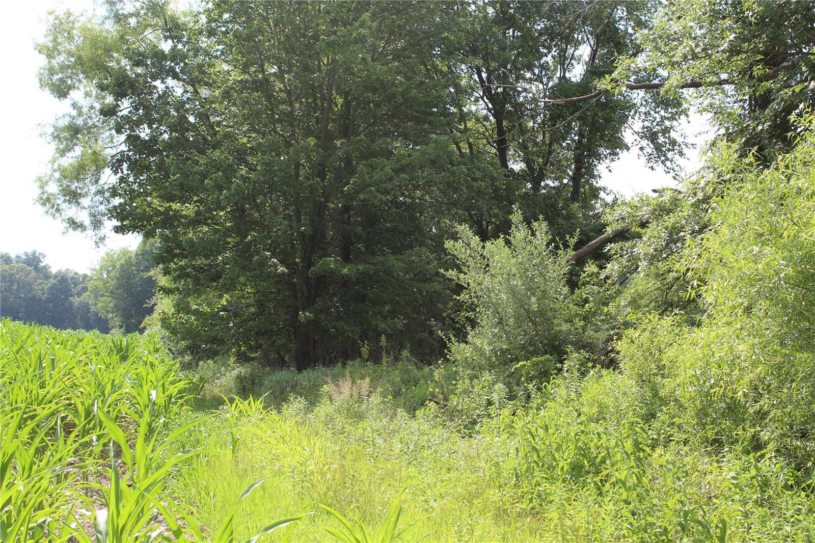 Not in Subdivision - Farm