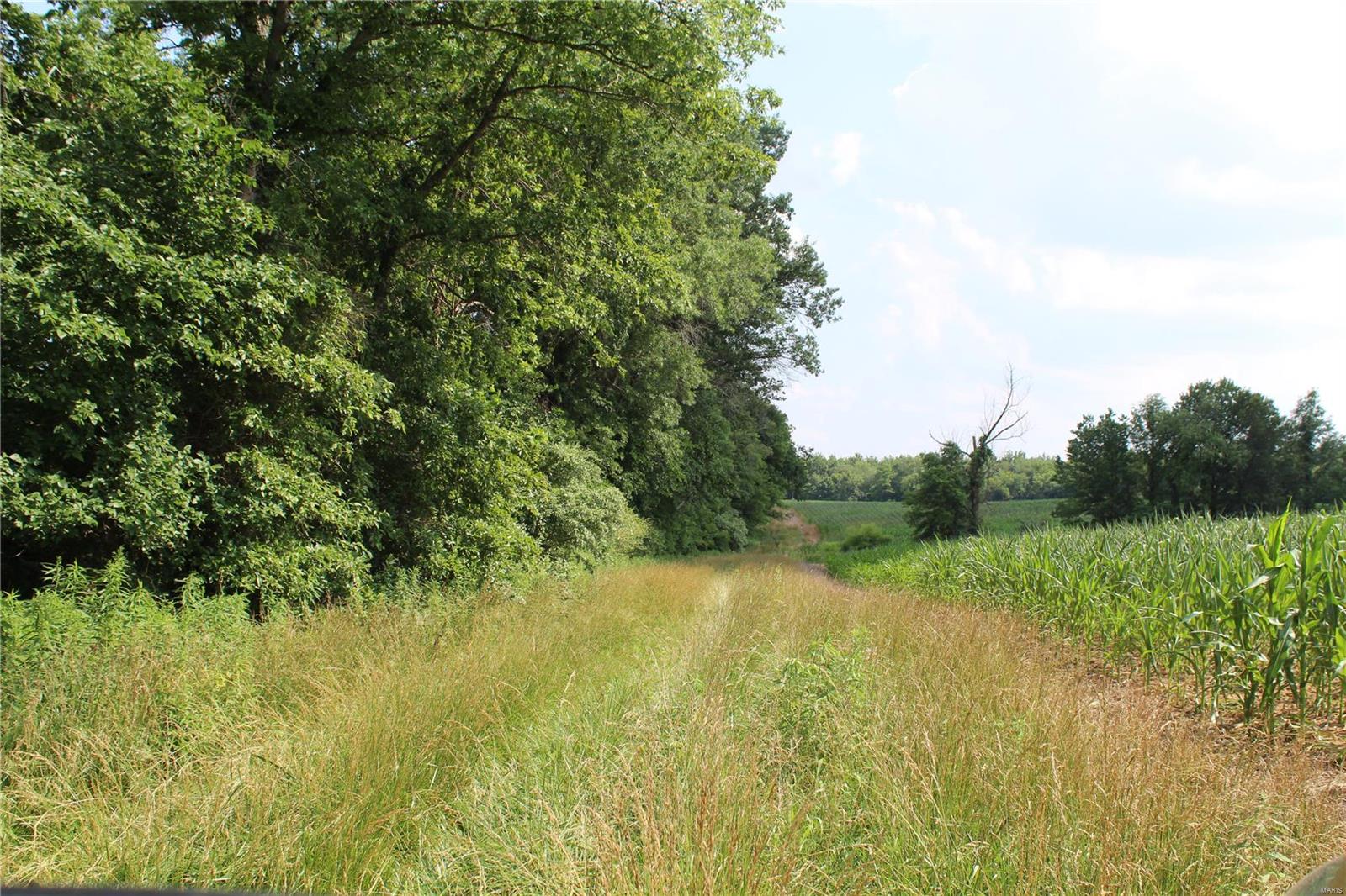 Not in Subdivision - Farm