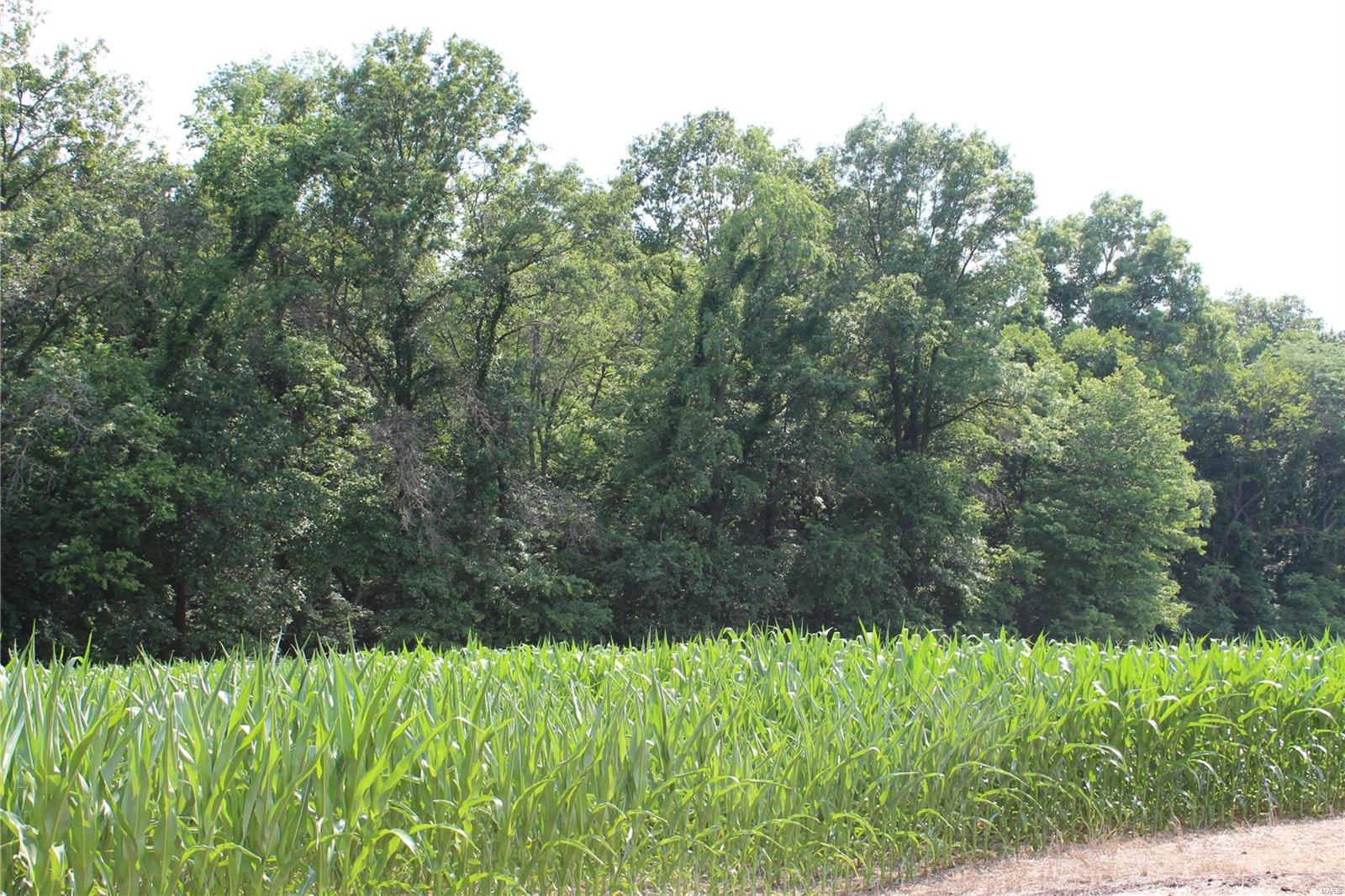 Not in Subdivision - Farm
