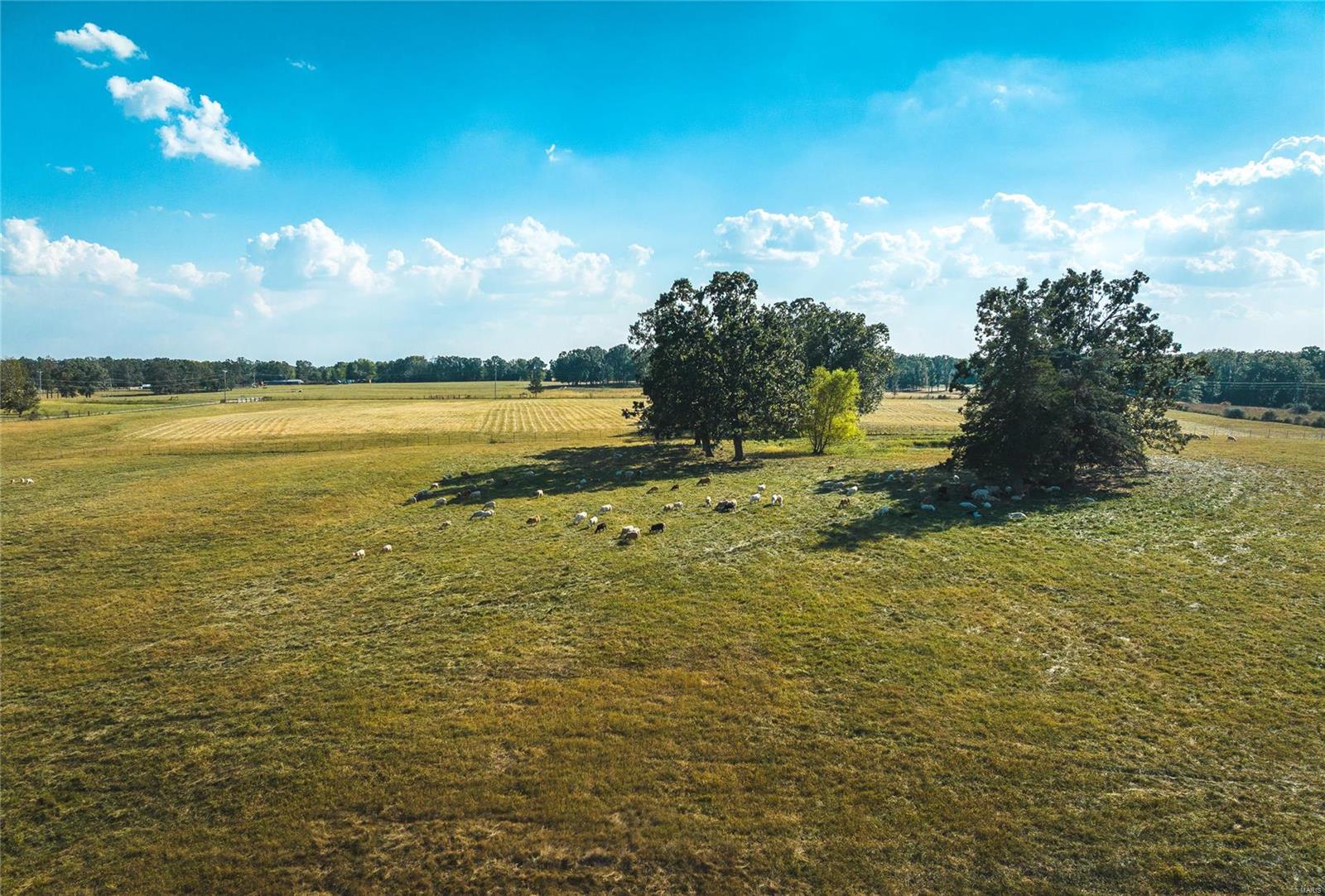 NA - Farm