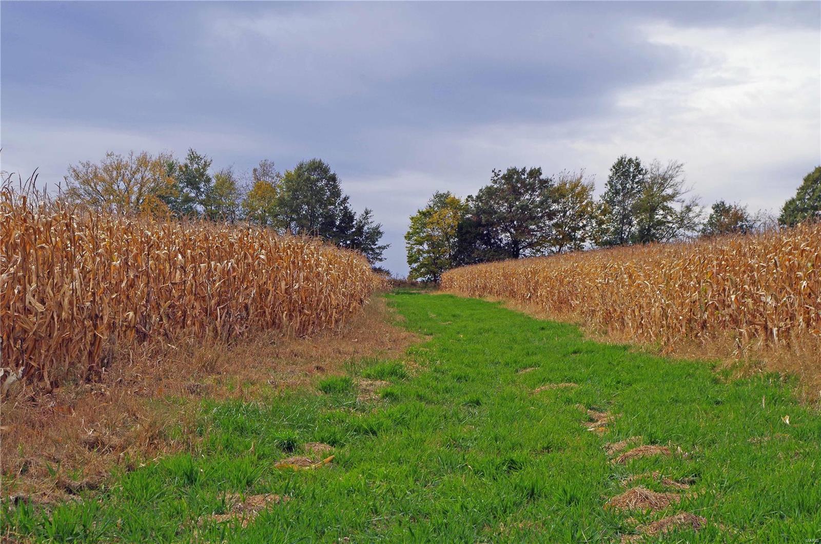 na - Farm