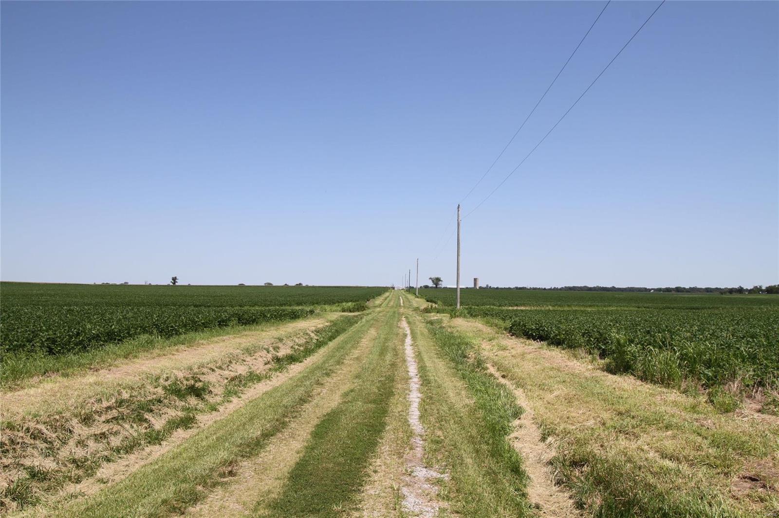 None - Farm