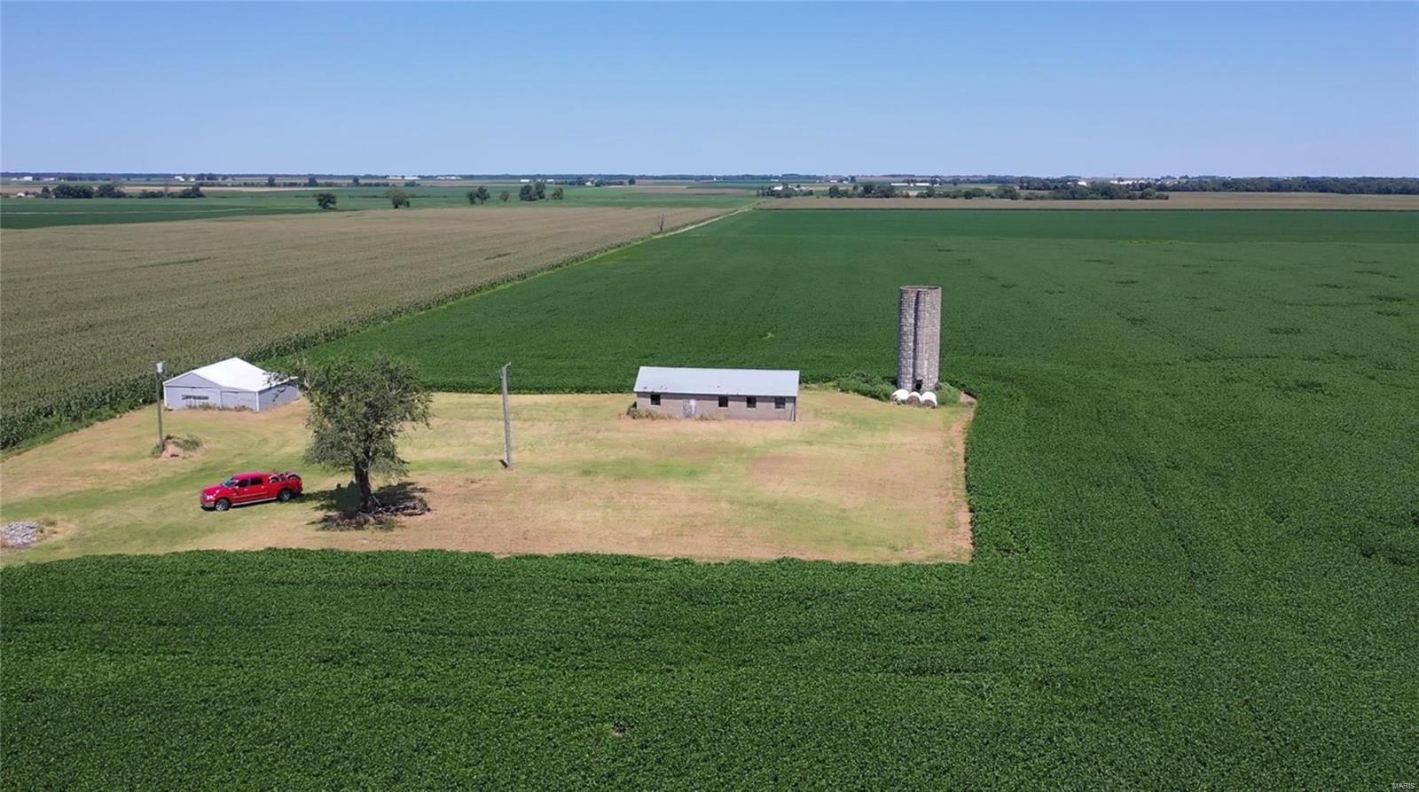 None - Farm