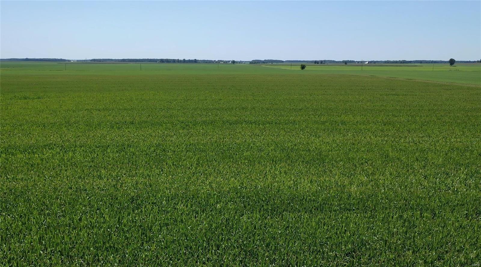 None - Farm
