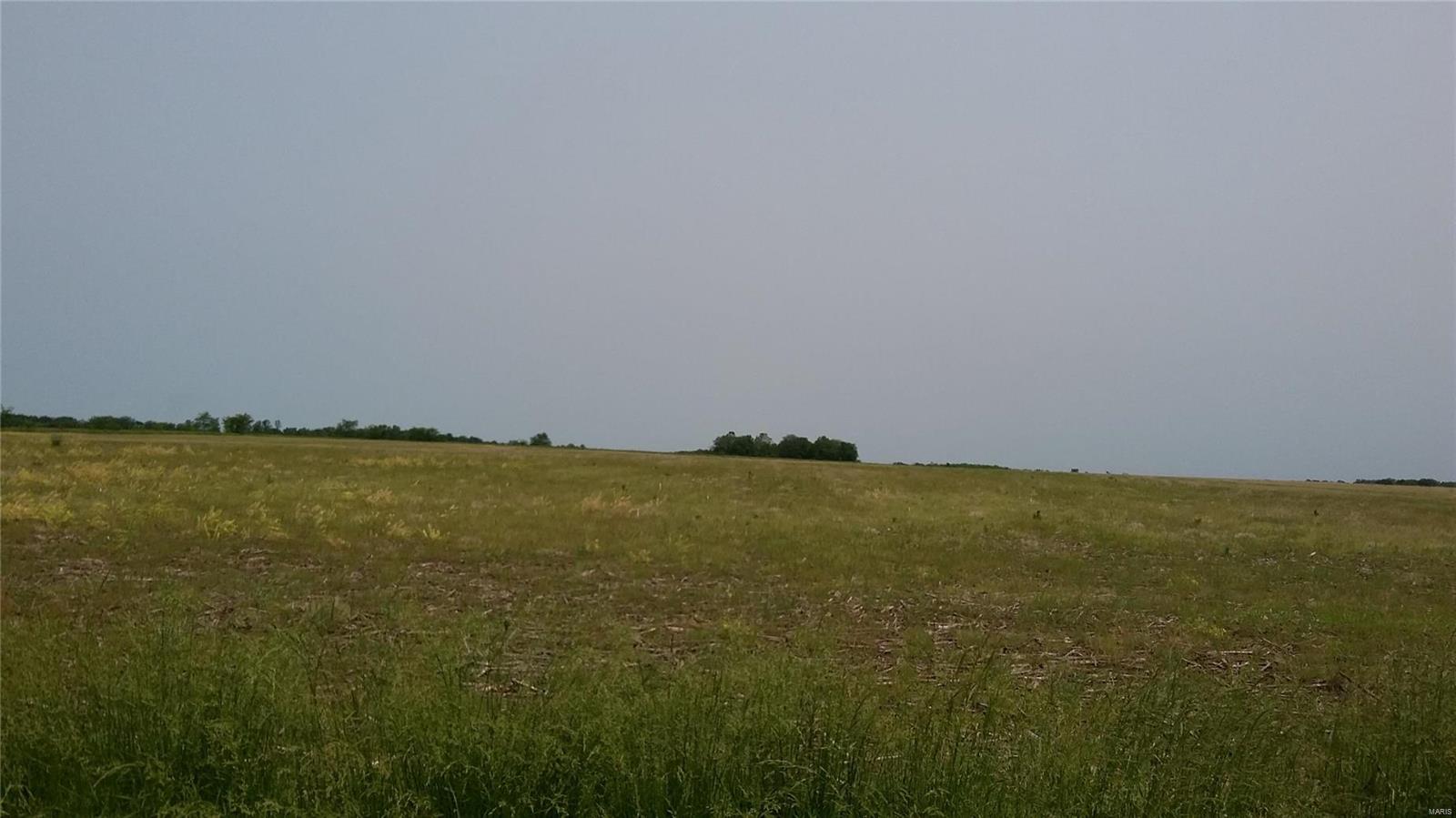 Highly productive farmland located in Ralls County, MO, New London.  Property will have to be surveyed.  Currently cash rented to tenant farmer.  Won't last long.  Call office today.