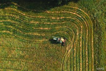 N/A - Farm