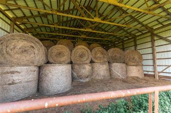 N/A - Farm