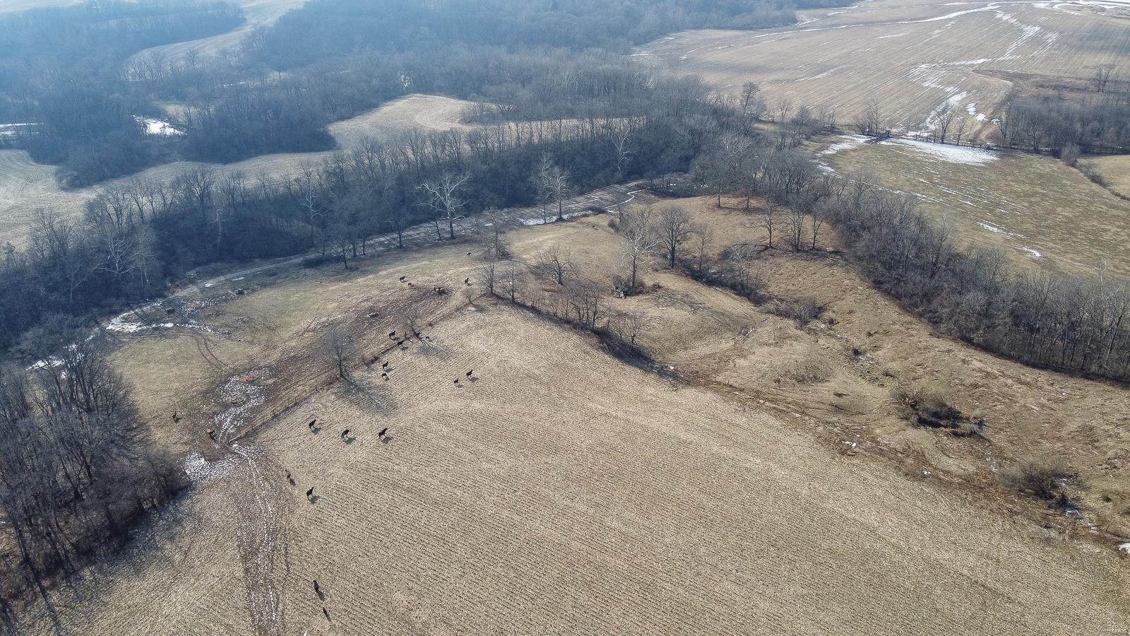 NOT IN A SUBDIVISION - Farm