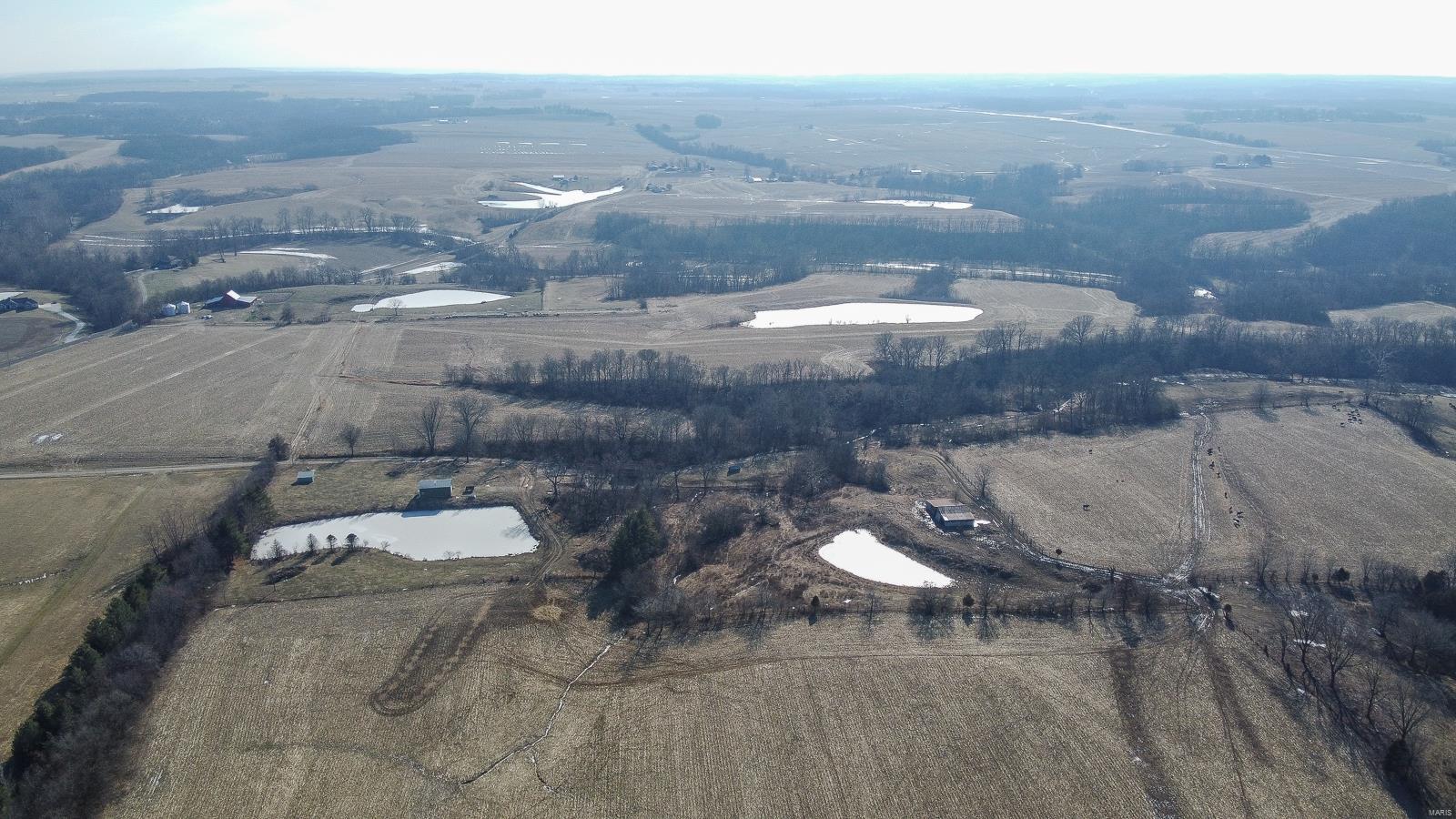 317.80 acres, three large lakes stocked with bass, catfish and bluegill, two older ponds, 3/4 mile of Sandy Creek, 1/2 mile of Otter Creek, 120 acres tillable, 100 acres pasture, 97.80 acres wooded. 19 point buck harvested in 2018. Good cattle farm. 5 miles from Jerseyville, 45 minutes from the St. Luis International Airport. 20 minutes from the Great River Road.  Before making an offer on any property, Buyer/Buyer's agent should independently verify all MARIS/MLS information and data, which is derived from various sources and not warranted as accurate.