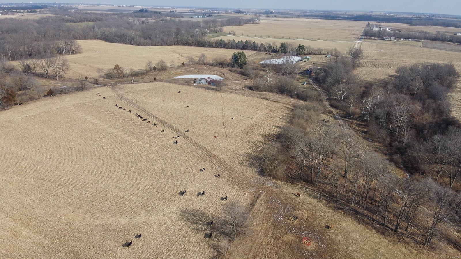 NOT IN A SUBDIVISION - Farm