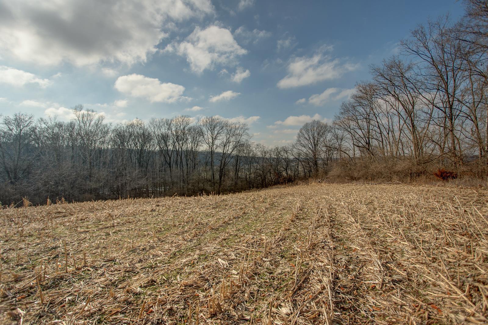 NOT IN A SUBDIVISION - Farm
