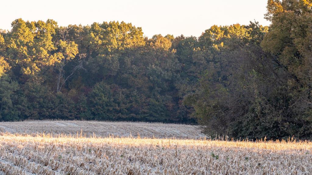 Private - Farm