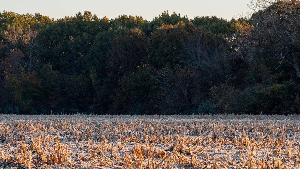 Private - Farm