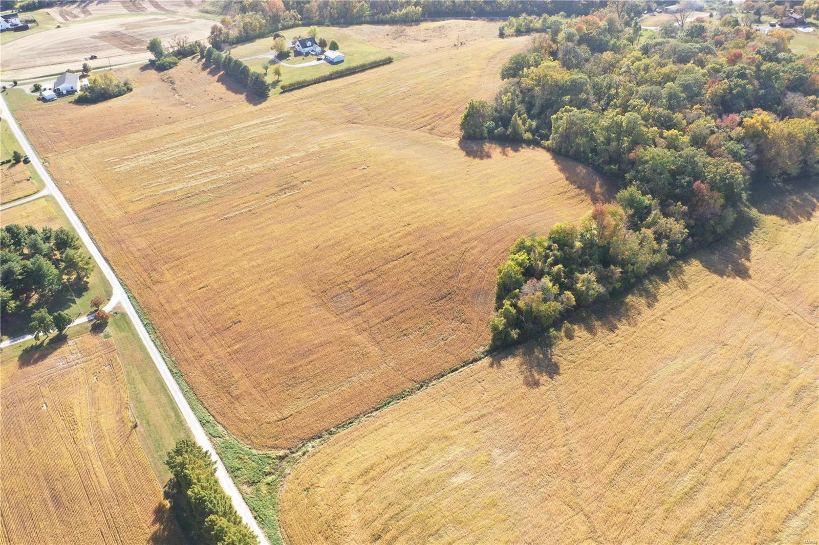 None - Farm