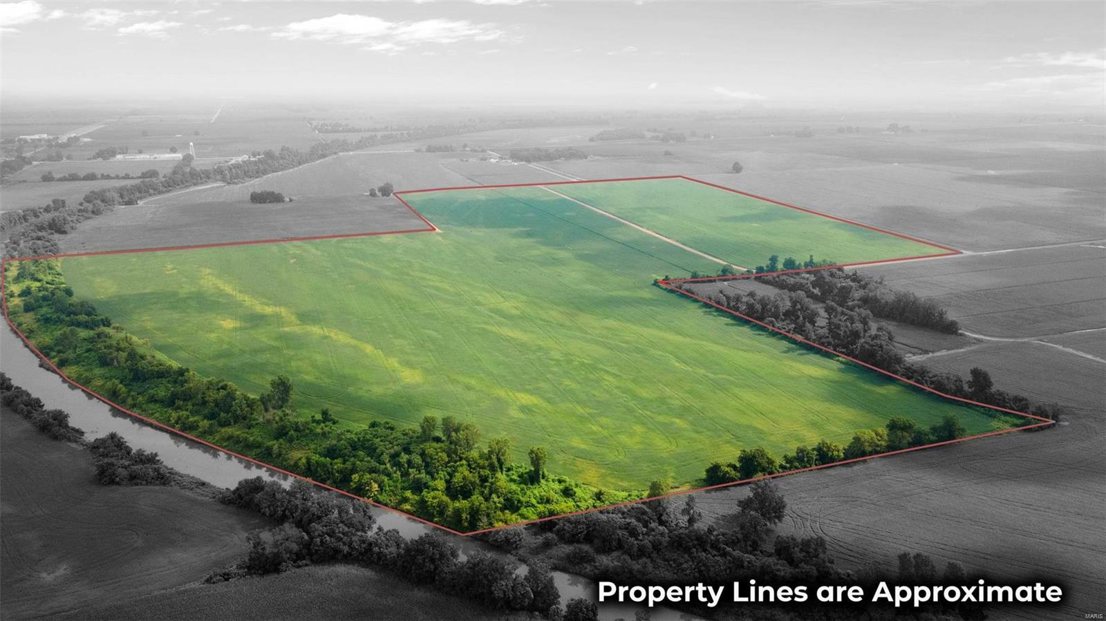 Located SE of Braggadocio, two separate tracts with CR 427 in between them. They will be sold separate or together. Both tracts are not graded, but both have a well. The west side of CR 427 is -/+135 tillable acres and the east side is -/+100 tillable acres. There is a deadline of 8/14/24 for offers so please contact listing agent for information on this farm.
