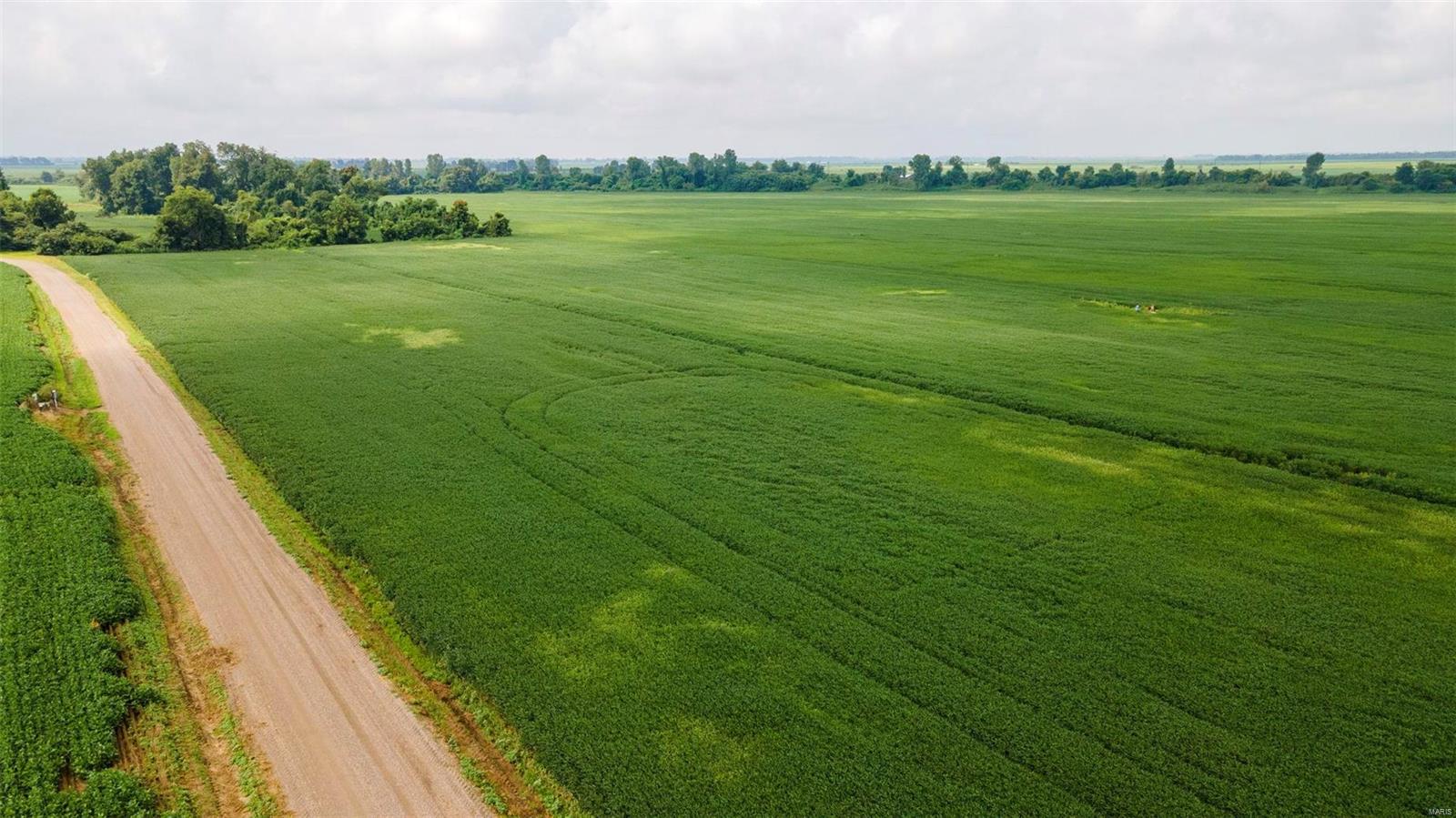 NA - Farm