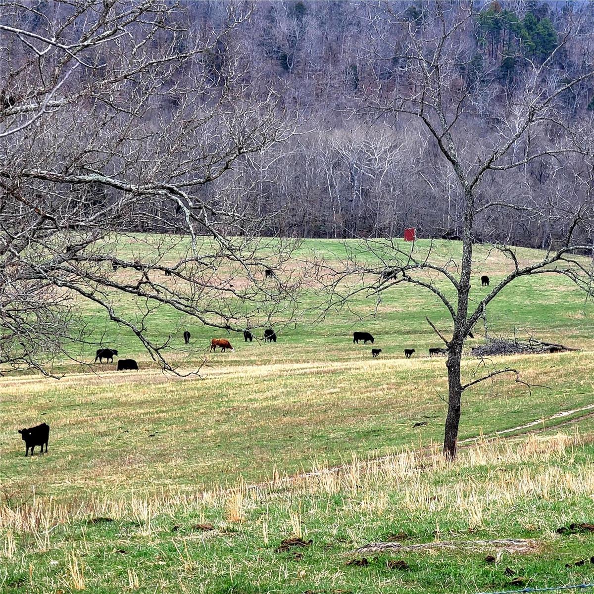 N/A - Farm