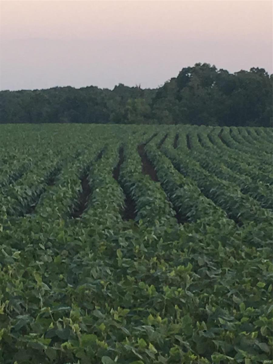 None - Farm