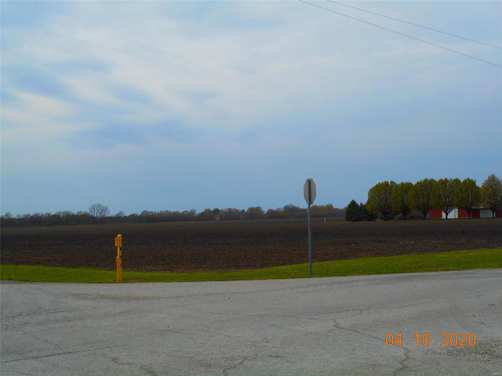 2 parcels of land (#04-0-00982-000 -71.82 acres and #04-0-00988-002- 63 acres) Approx.  135 acres of farmland (nearly all tillable with drain tiles)  situated in Section 30 Township 13 N, Range 8 East Humboldt Township in Coles County, Illinois  This ground is situated off of US Highway 45 North of Mattoon and the Railroad Tracks also run along it.   County Road 1100 N. borders its south line and County Road 700 East borders the east side. Predominate Soils are:  481A Raub Silt Loam; 722A Drummer-Milford Silty Clay Loam and 152A Drummer Silty Clay Loam and No HEL.  This land does have drain tiles and city water, gas and power are available and due its location along the Highway and RR tracks it has a great location for commercial property as well.