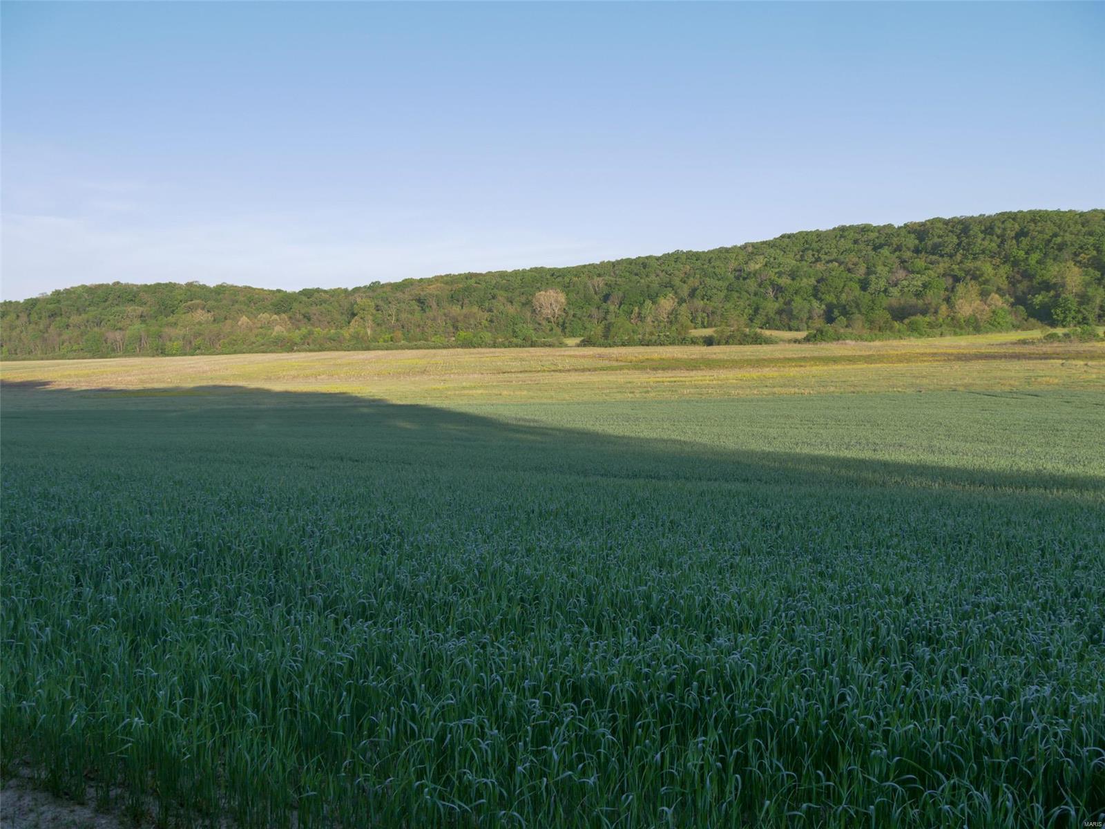 N/A - Farm