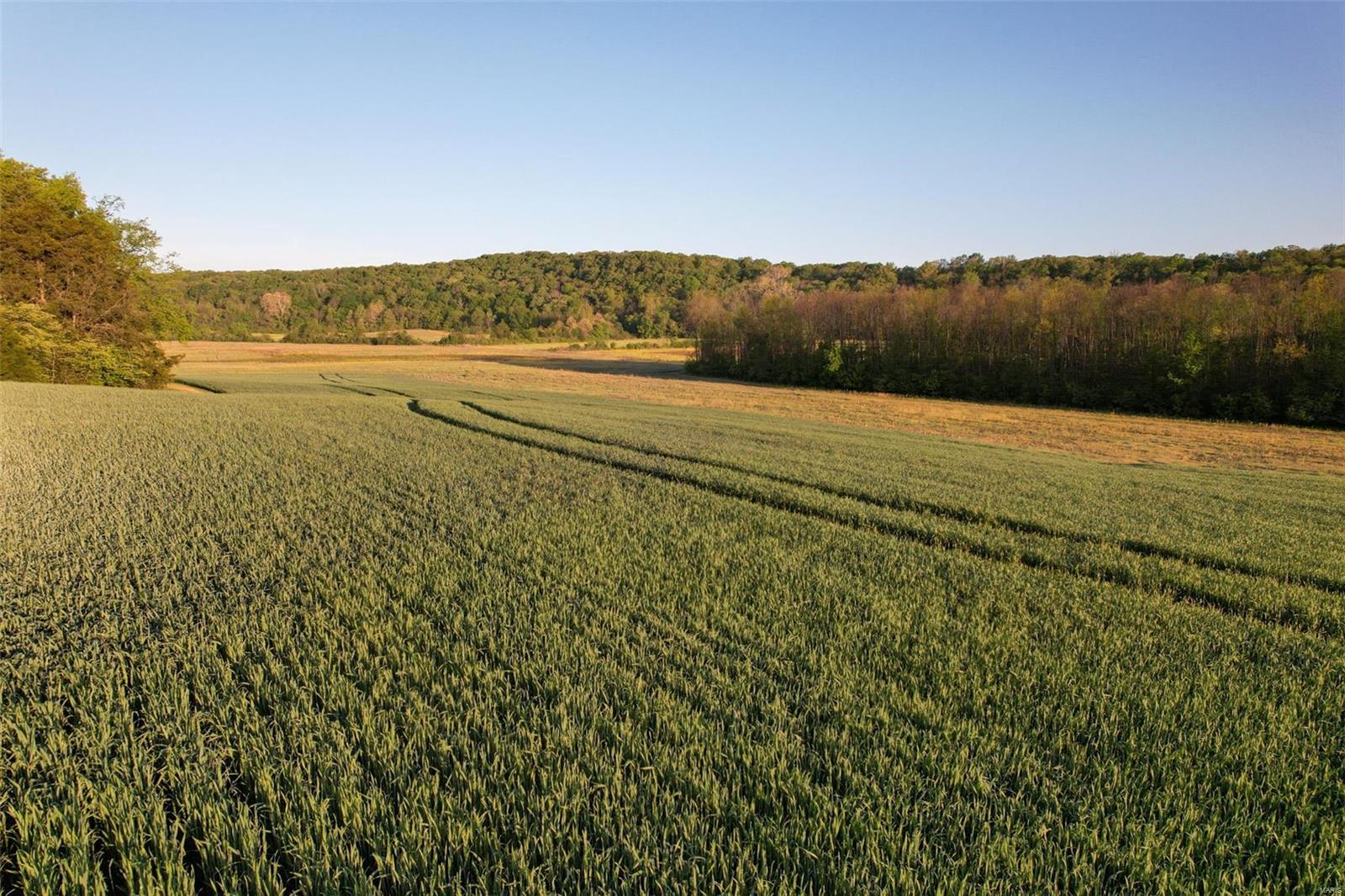 N/A - Farm